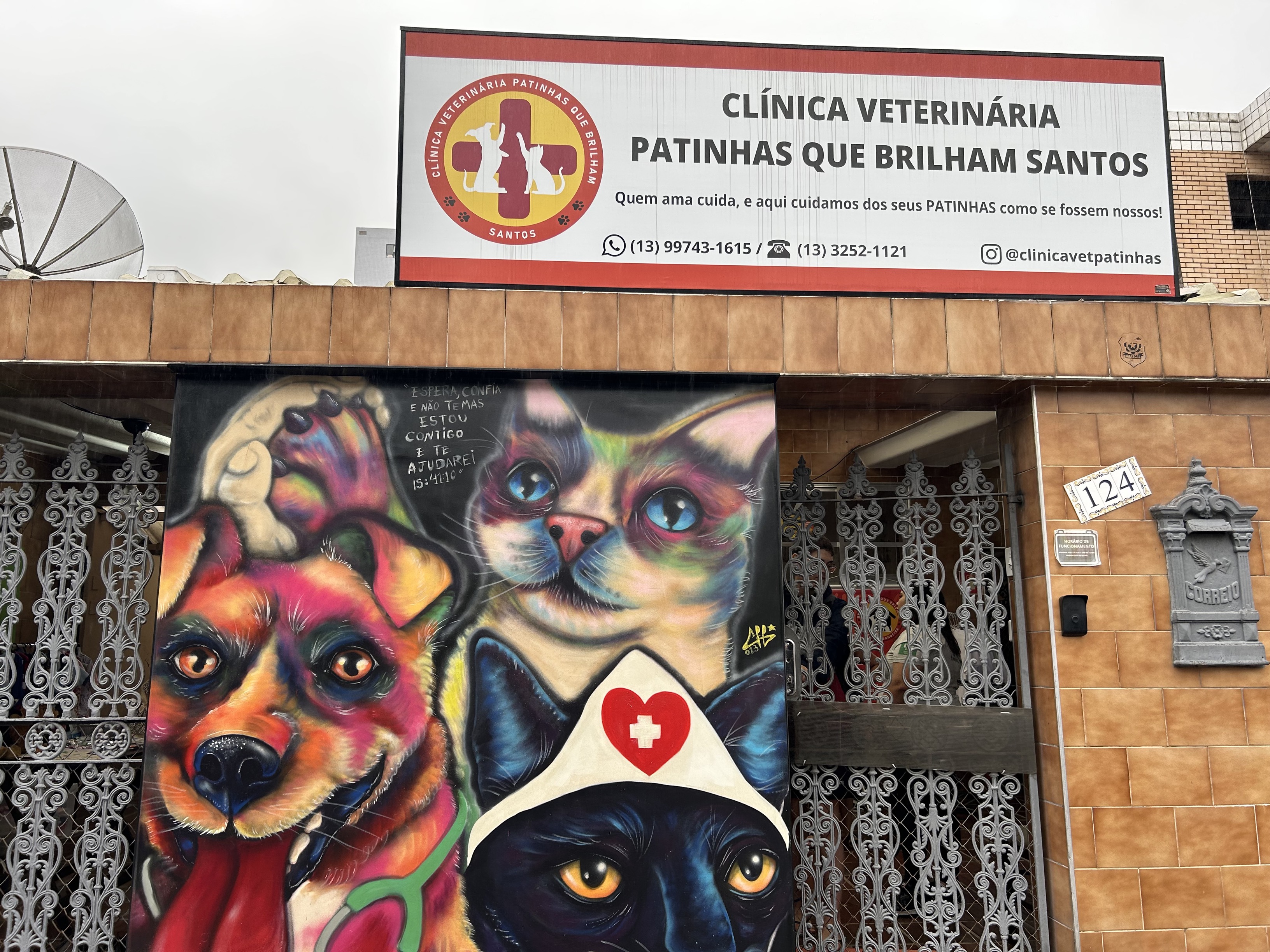 Imagem da frente da ONG de patinhas que brilham